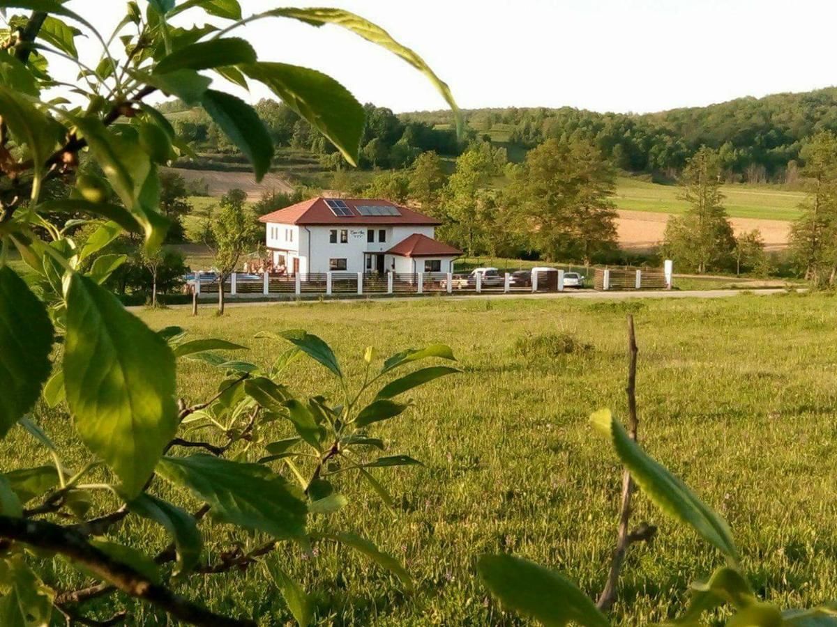 Фермерские дома Pensiunea Casa Ana Gladna Romînă-4